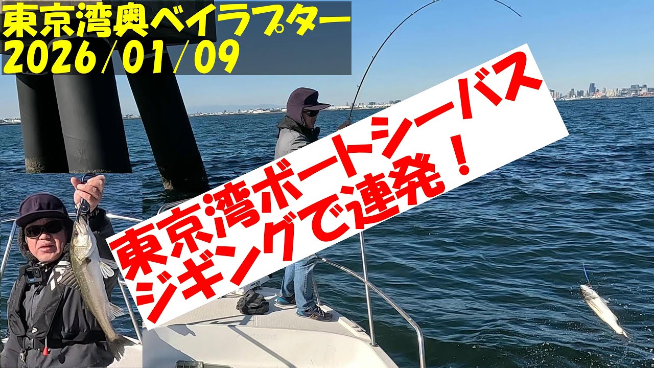 【東京湾ボートシーバス釣行記】令和８年１月９日　ボートシーバスのジギングに行ってきました。　良型は釣れませんが楽しい数釣りが出来ました。