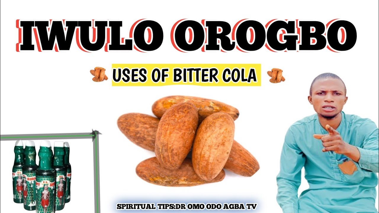 IWULO OROGBO,BITTER KOLA @Dromoodoagbatv uses of bitter kola