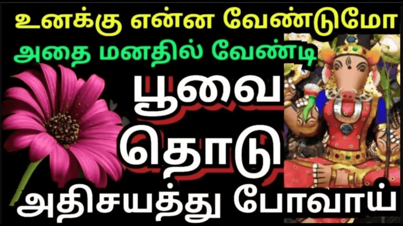 யோசிக்காமல் இந்த பூவை தொடு🏵️அதிசயம் நடக்கும் #amman#varaahiarulvakku#omsaravanabhava#vaarahiamman
