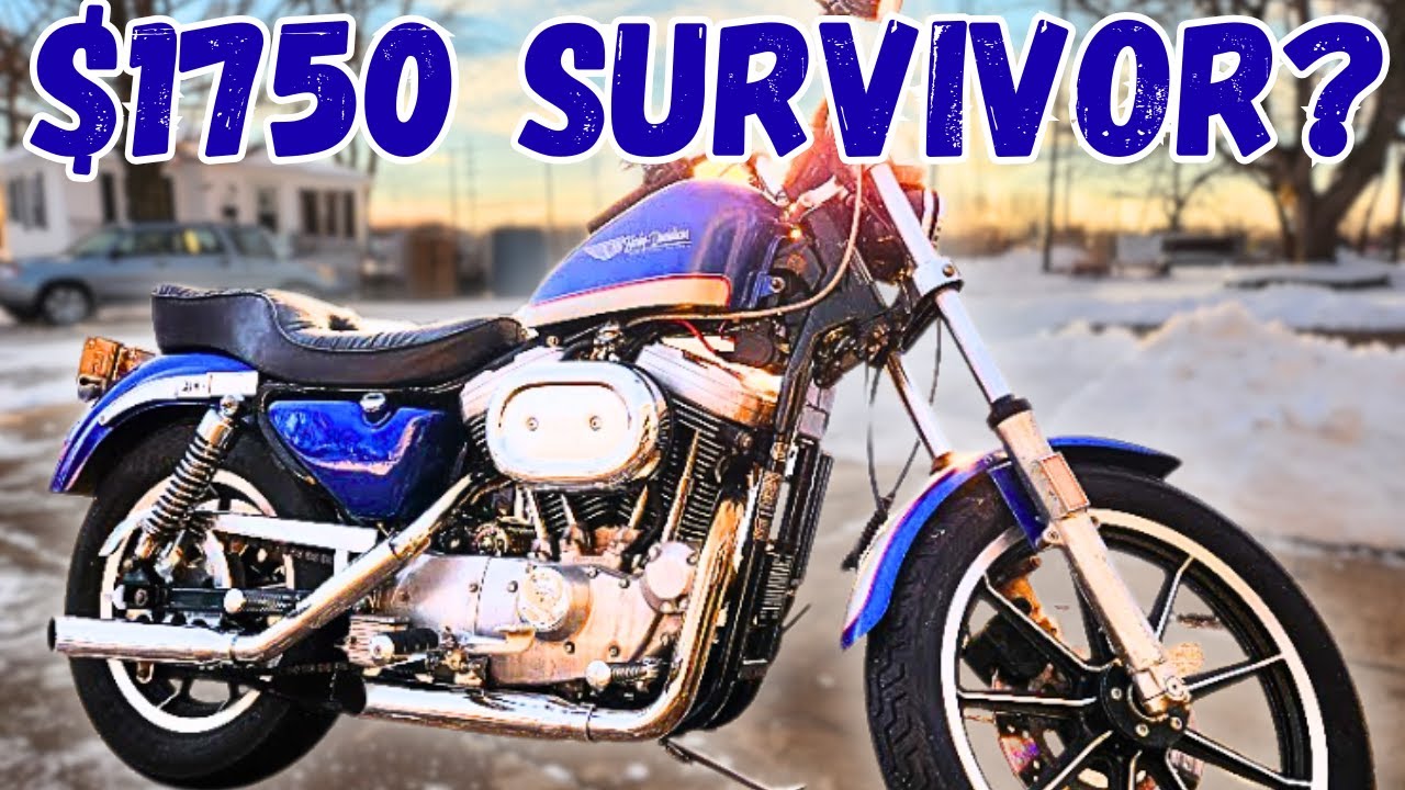 Fixing up a “Mint” 1986 Harley Davidson Sportster XLH1100
