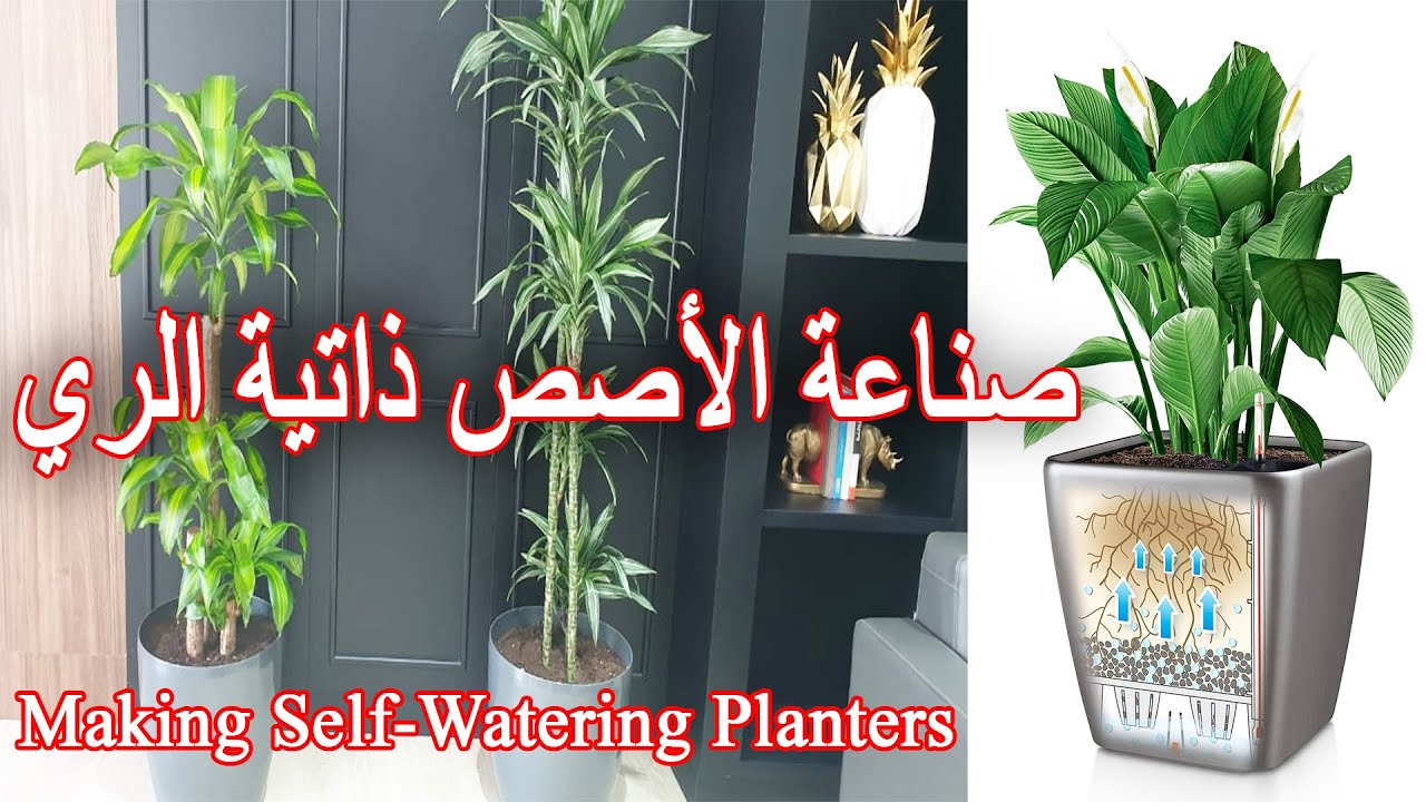 طريقة صناعة الاصص ذاتية الري (السقي الاوتوماتيكي) و الزراعة بها