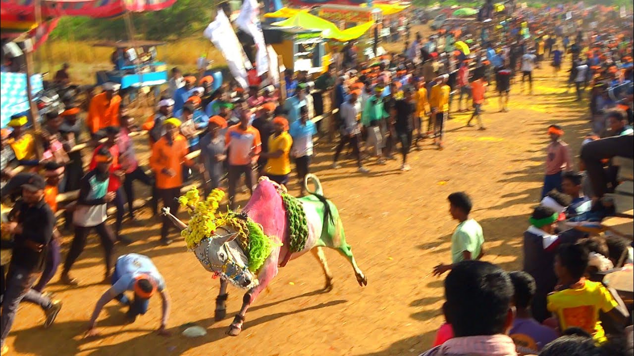 Top Hulaginakoppa Horihabba 2023| ಭಯಂಕರ ಹುಲಿಗಿನಕೊಪ್ಪ ಹೋರಿಹಬ್ಬ 2023#krushivahini