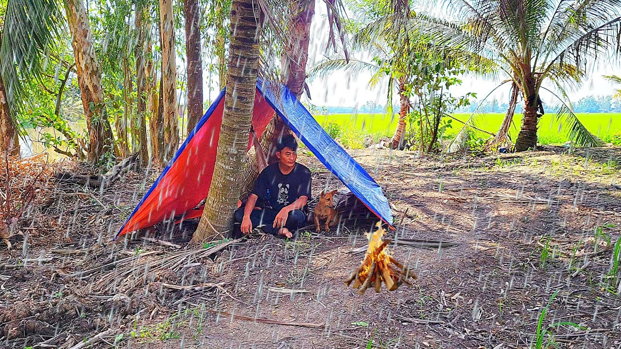 Camping in the wilderness struggling in the rain fishing and cooking | cookingso