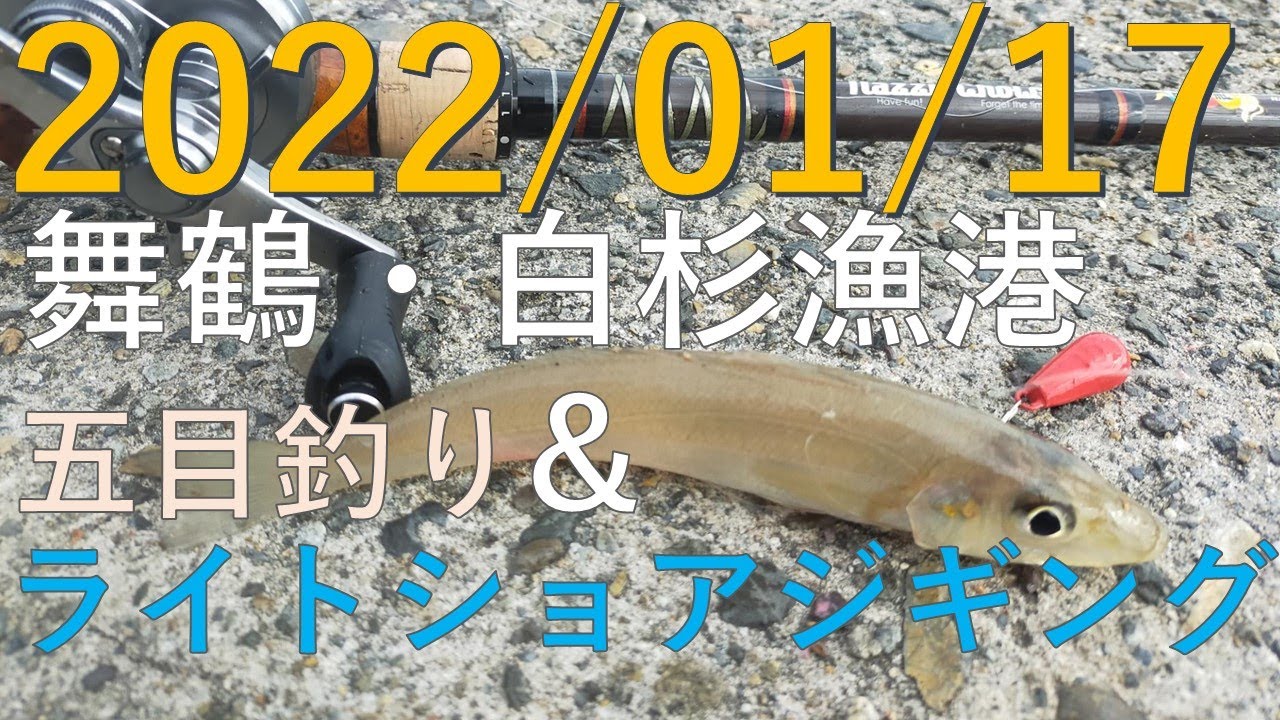 2022年1月17日舞鶴・白杉漁港 ライトショアジギング&エサ小物釣り釣行（サゴシ&小物狙い）