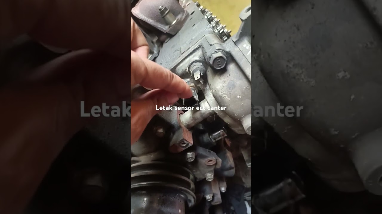leta k sensor ECT canter euro 4 #automobile #euro4 #canter