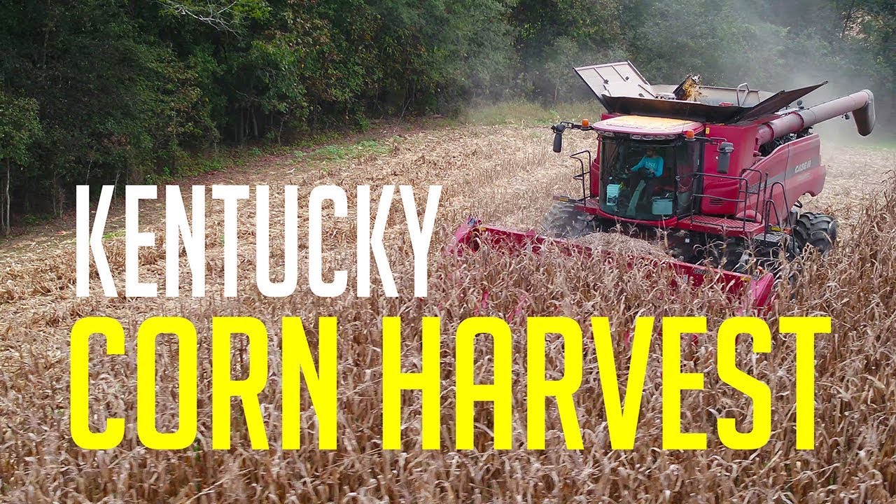 Farmer Facts that WILL surprise you - Ken Heron (Inspire 2 Drone footage)