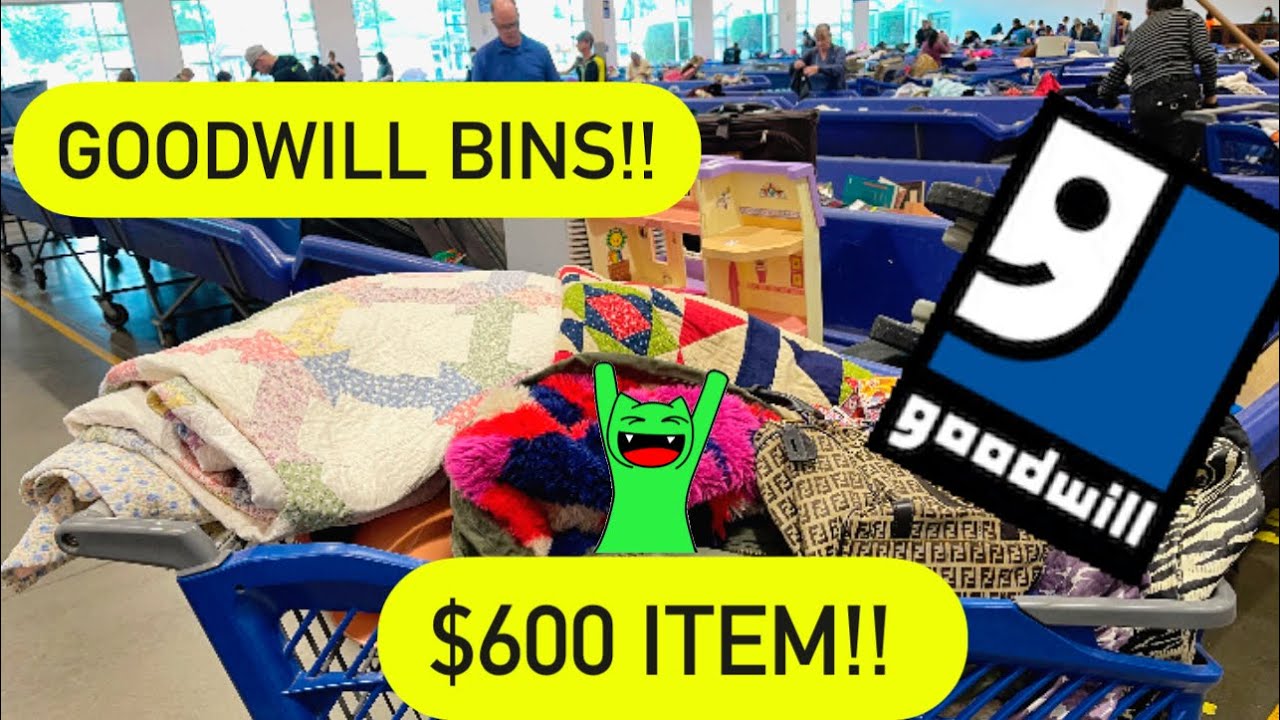 Goodwill Jackpot! One Item Worth $600++! Let’s Go To Goodwill Bins! Thrift With Me ++HAUL