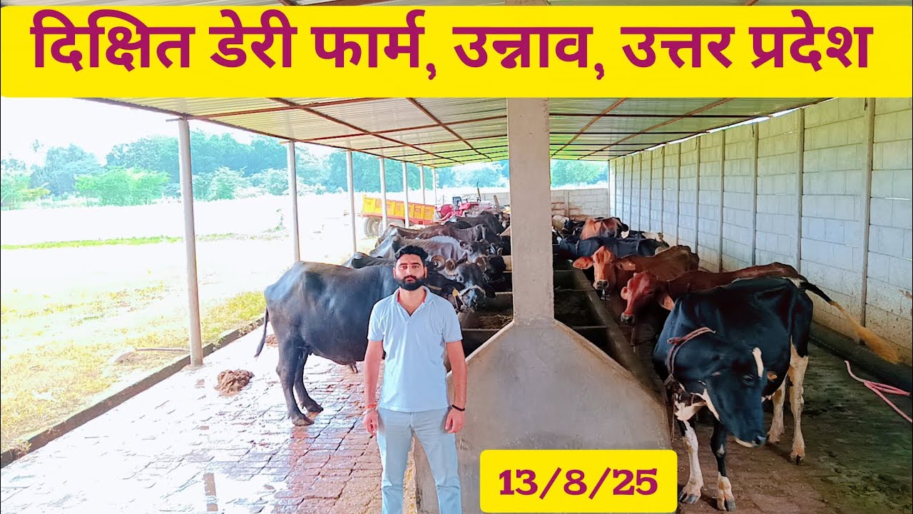 दीक्षित डेरी फार्म, उन्नाव उत्तर प्रदेश 