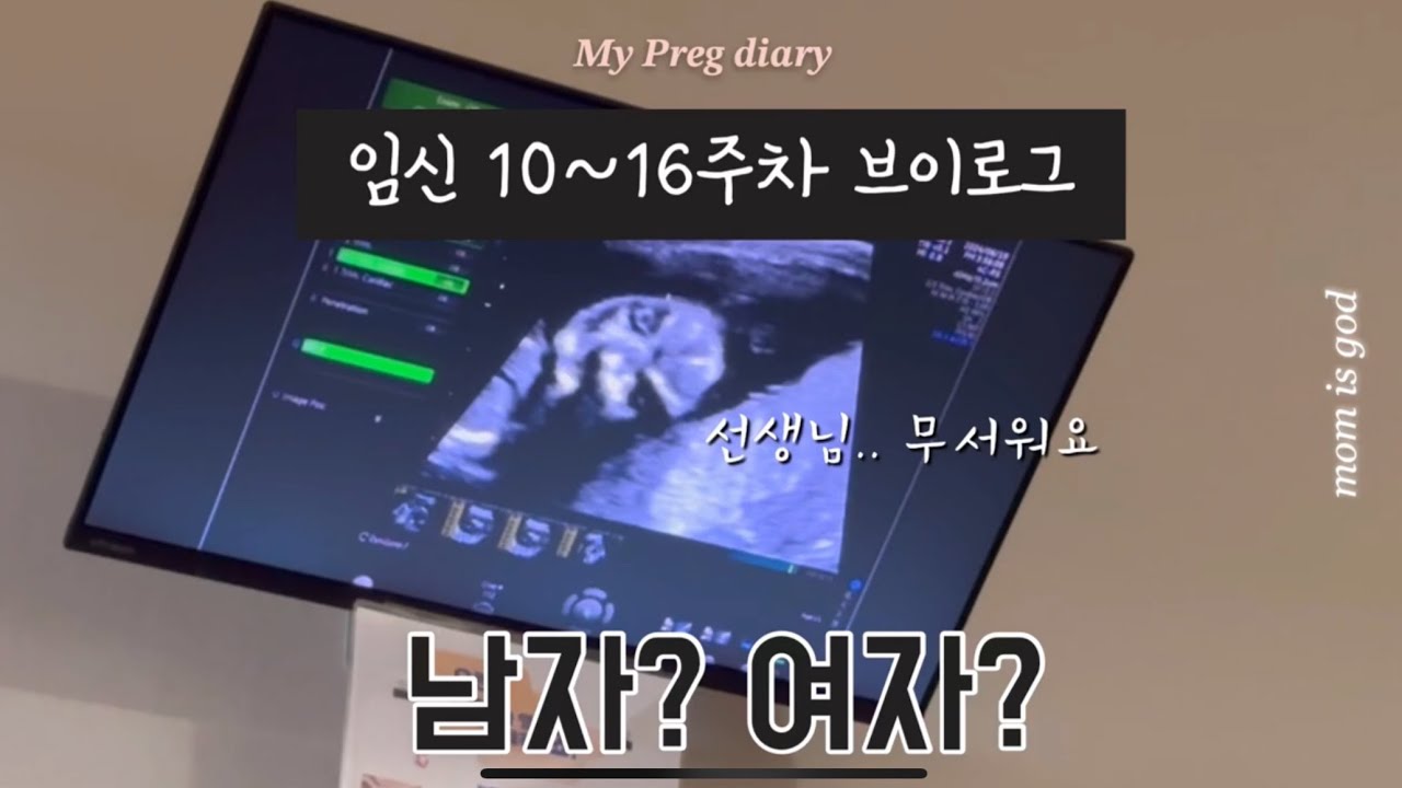 [vlog] 임신 10주~16주 태아 성별 확인 | 1차 기형아검사 & 목투명대검사 | 임밍아웃 고맙다 잘자라줘서 고마워 !