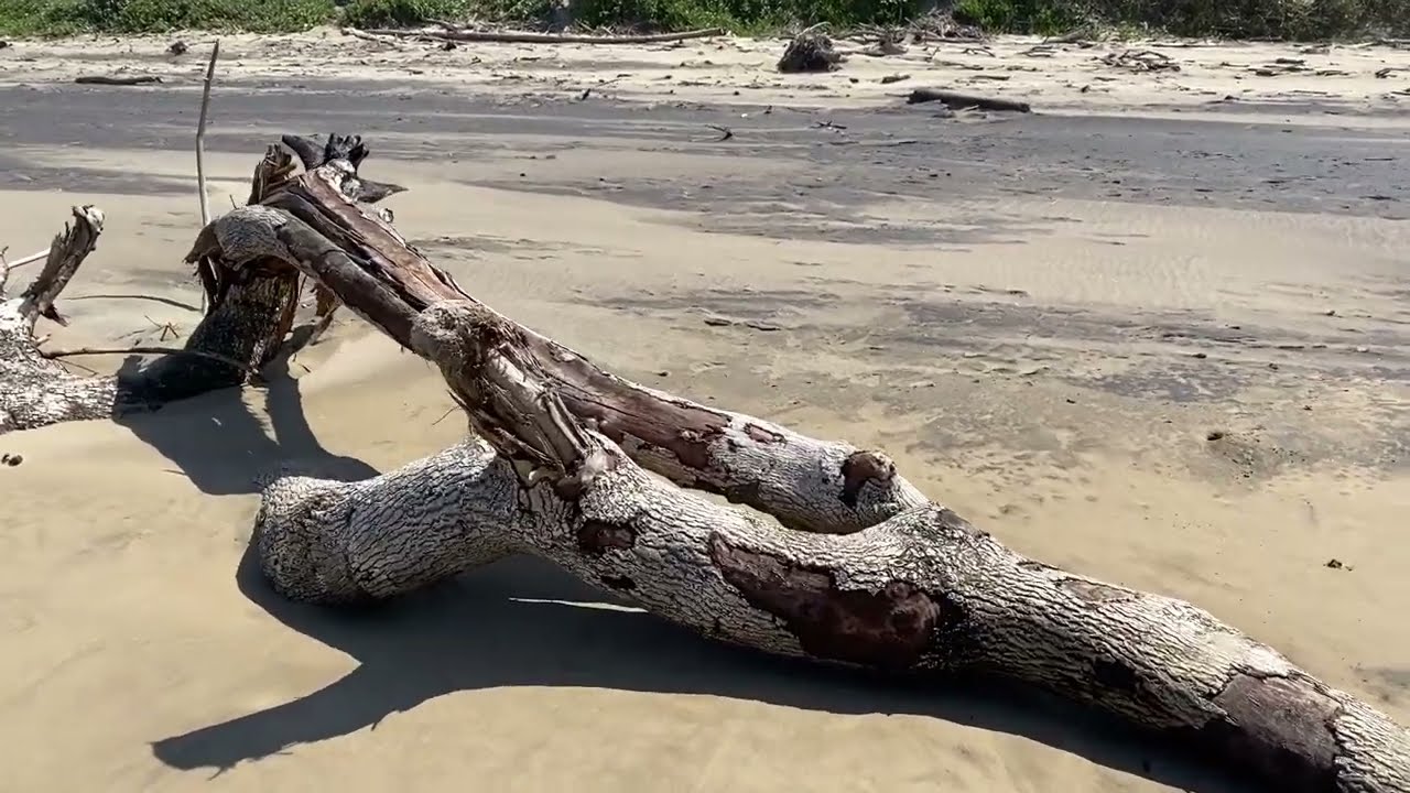 Scenic Coastal Walk . Trafalgar Beach to Mpenjati Nature Reserve .(long Video)