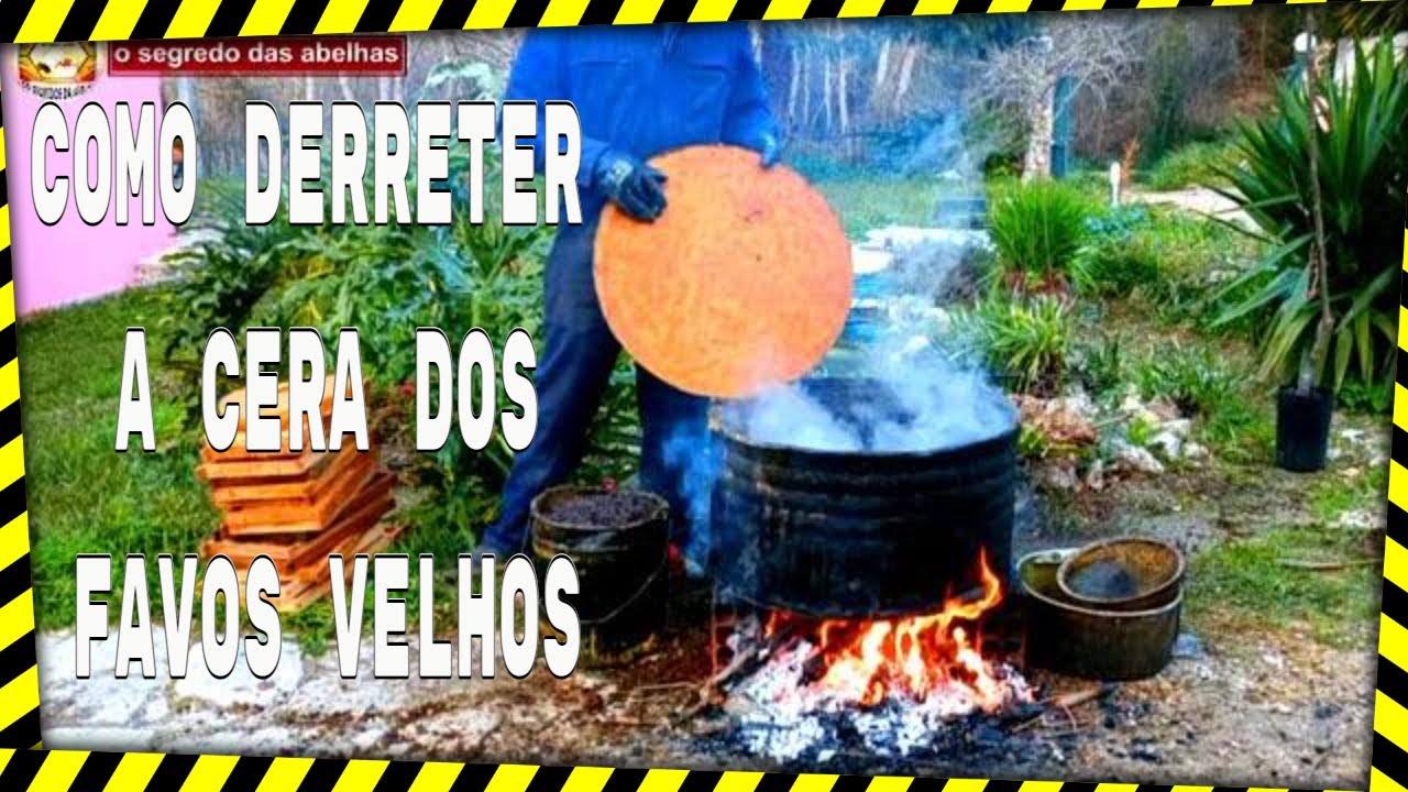 Como Derreter a  Cera dos Favos Velhos #yutube_videos #viralvideo #favos  @euclidessantanasantana