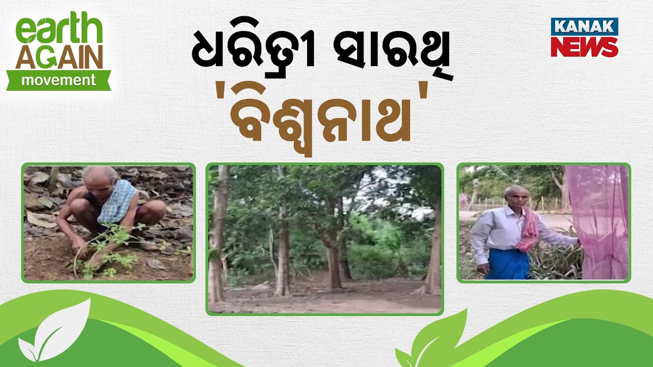 The Inspiring Story Of Biswanath Panda's 71-Year Green Battle In Odisha