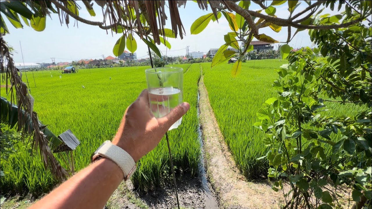 Беженец🇮🇩Бали. ДЕШЕВАЯ И ДОРОГАЯ ШАУРМА-НИКАКОЙ РАЗНИЦЫ! С КЕМ ПОЕДУ НА ЭЛЕКТРОМАШИНЕ В СУББОТУ