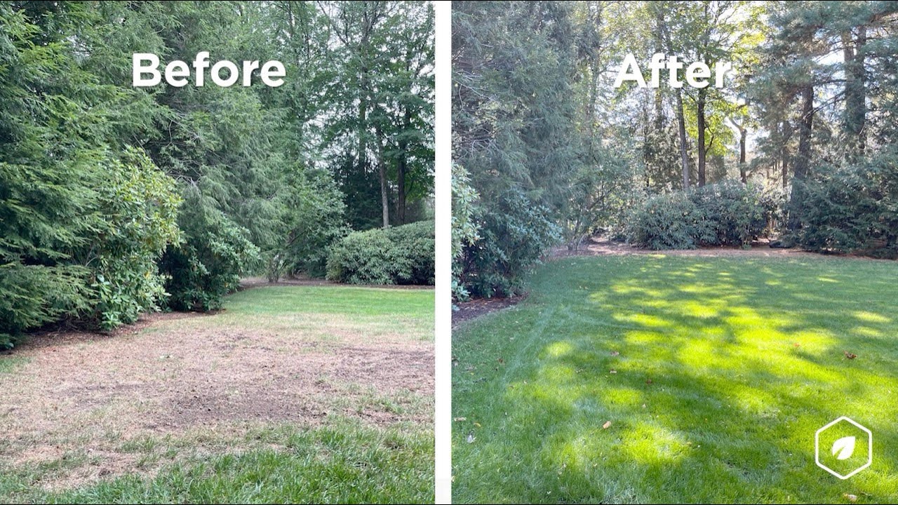 How Seeding, Aeration and Compost can Rejuvenate Your Lawn!