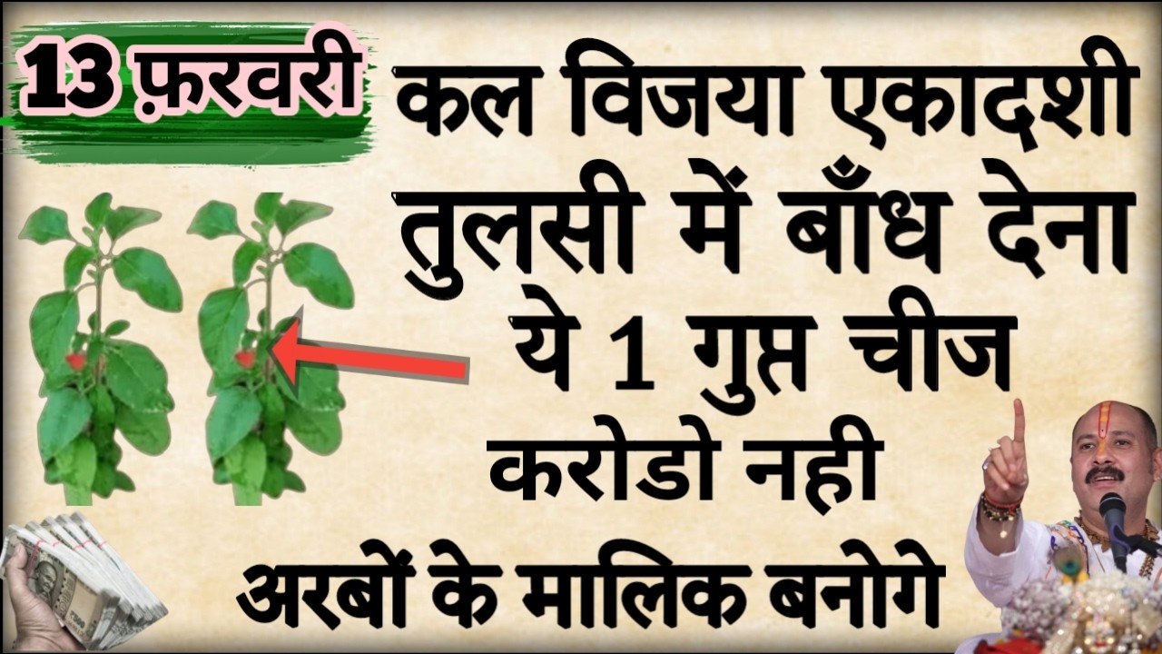 13 फरवरी विजया एकादशी की रात तुलसी में बांध देना ये 1 चीज बनोगे करोड़पति #विजयाएकादशी #pradeepmishra