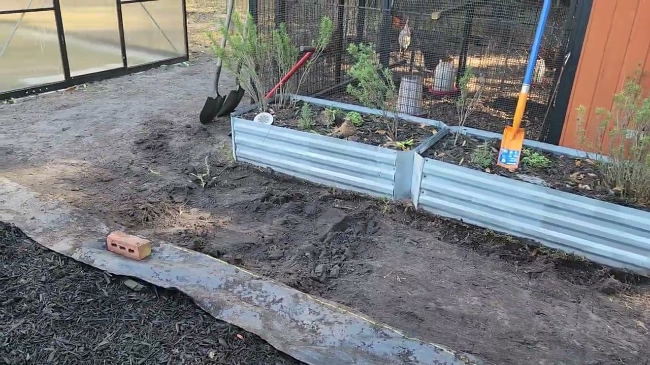 Rebuilding the Potager – Tuesday Morning Progress