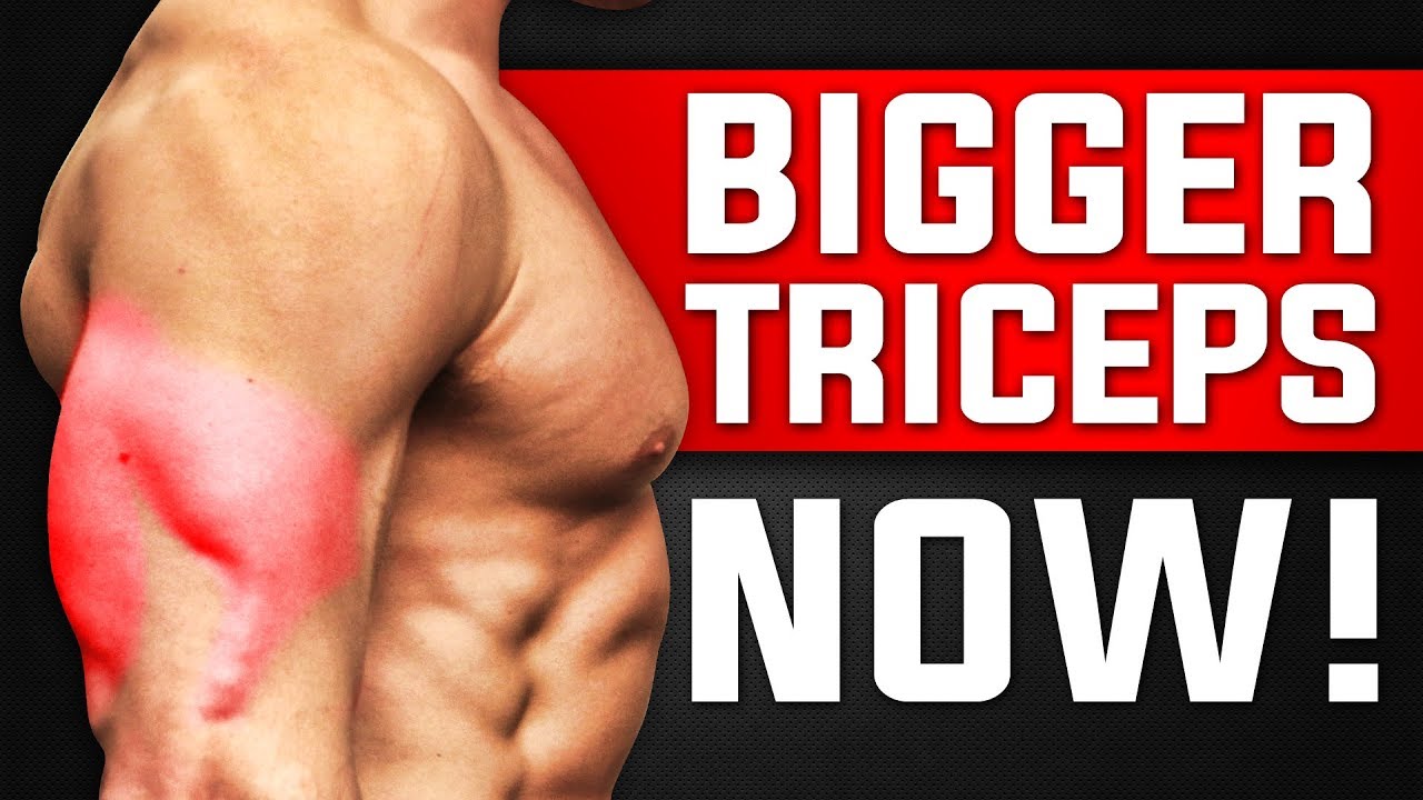 3 Triceps Exercises For Skinny Guys / HARDGAINERS! (TRICEP WORKOUT FOR MASS)