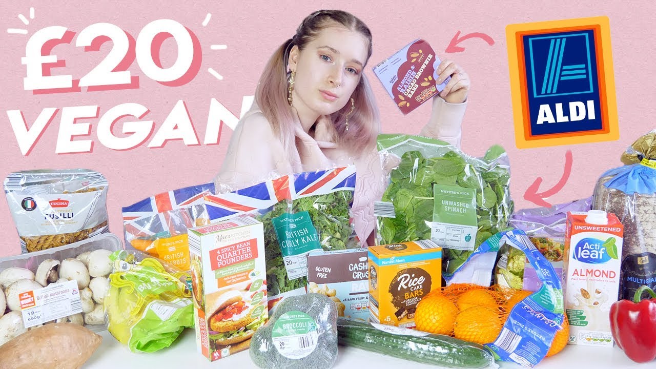 VEGAN ALDI HAUL ON A BUDGET