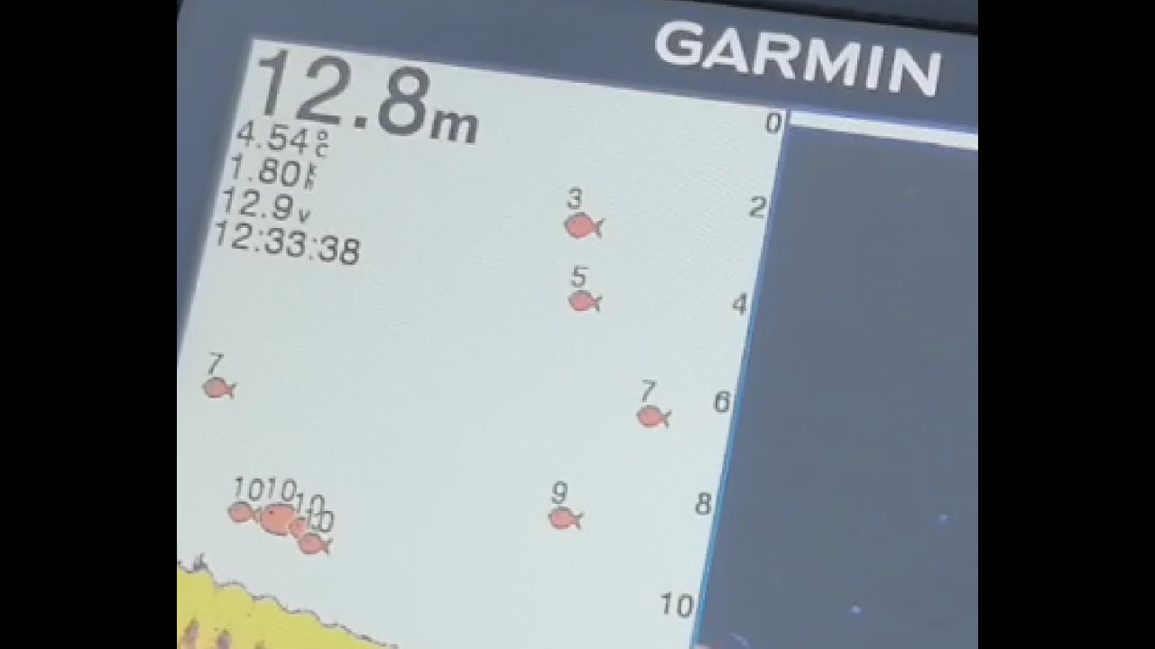 Garmin striker 5 Dunav - Srbija - Mihajlovac decembar 2022