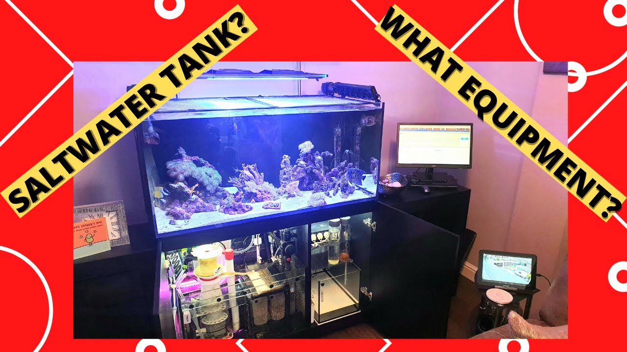 Saltwater Tank Equipment Walk-Through | Red Sea Reefer 425XL