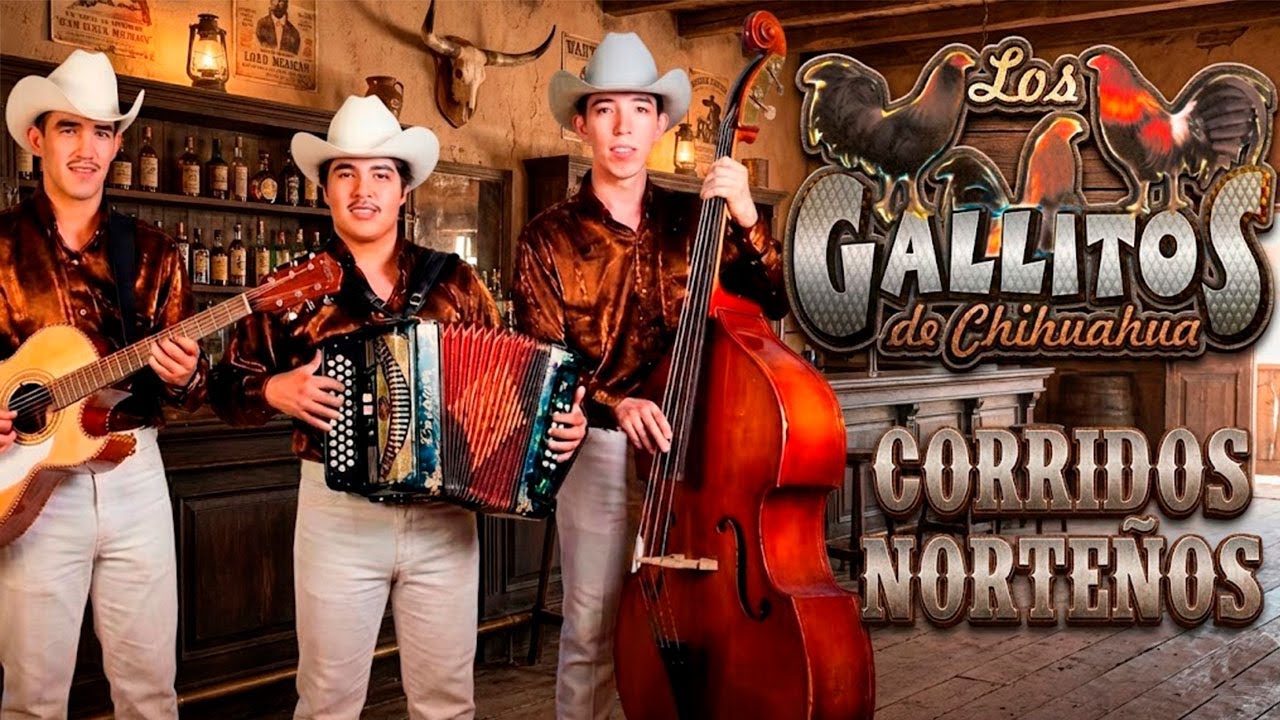 Los Gallitos de Chihuahua 🐓🔥 Mix de Corridos Perrones Norteños (Con Tololoche)