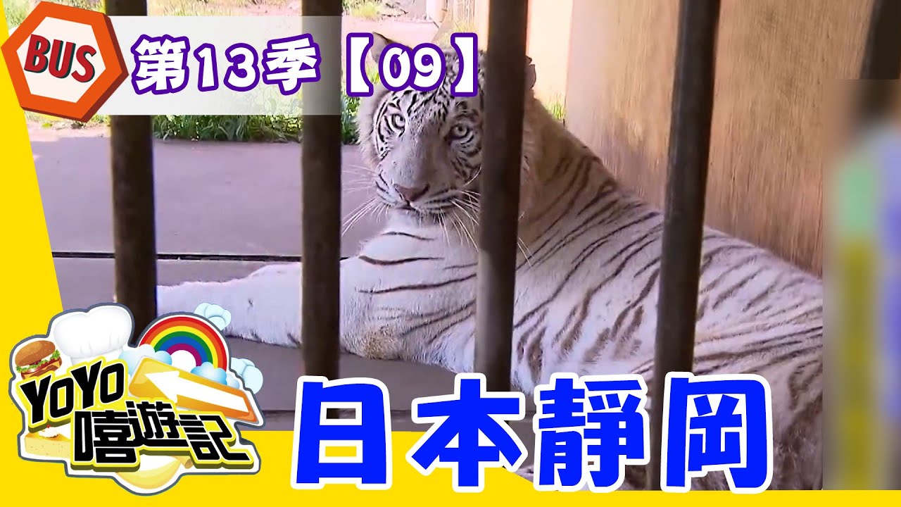【日本靜岡】探訪伊豆野生動物園，與白老虎共享午餐時光！YOYO嘻遊記S13 第9集｜旅遊｜景點｜美食
