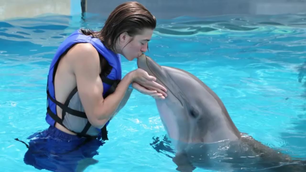 Go Pro : Senior Trip | Gulf World Swim With The Dolphins