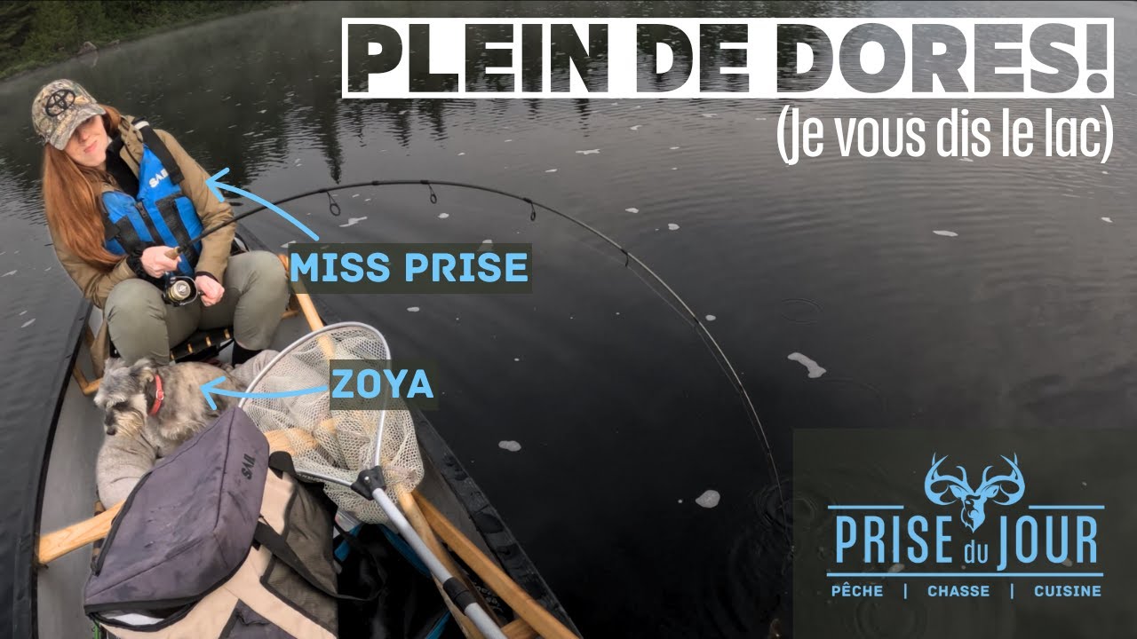 Plein de dorés!!! Pêche dans la ZEC bras-coupé desert!