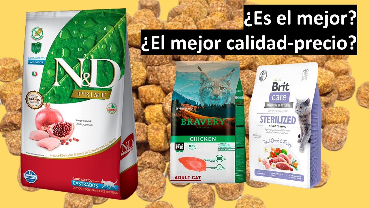 N&D PRIME: ¿el mejor alimento seco para gato? ¿El mejor calidad-precio? ¿Qué alternativas existen?