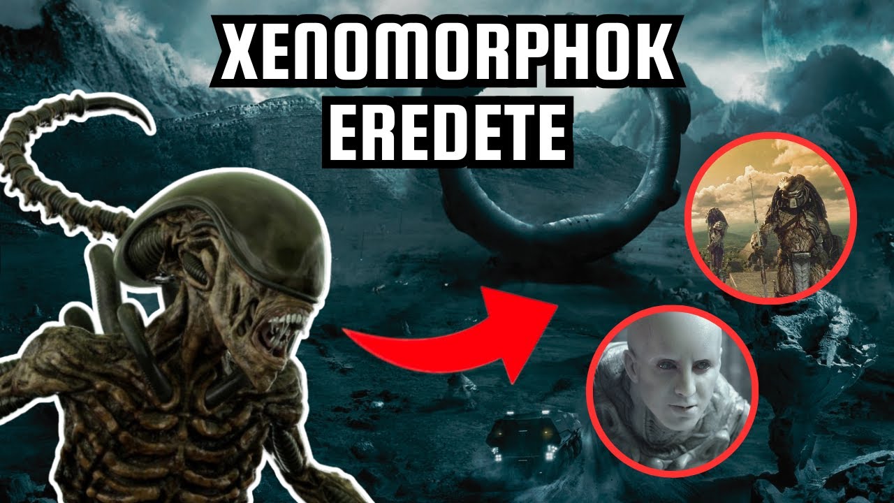 HONNAN SZÁRMAZNAK A XENOMORPHOK? 🤔👽