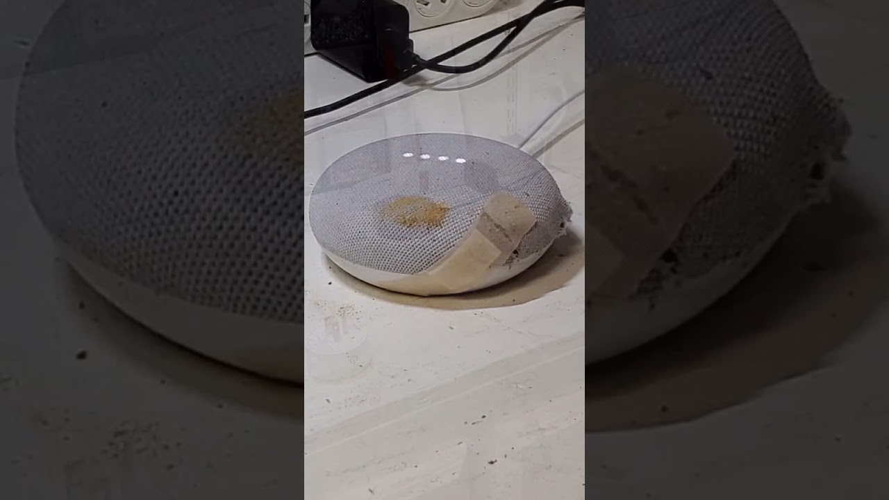 Alexa встречает Google, часть 2, Месть (короткометражный фильм)