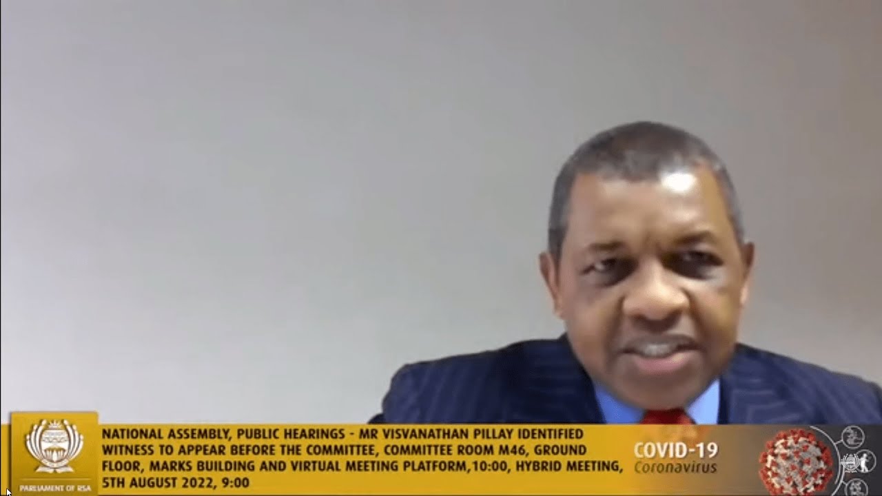 Adv Dali Mpofu Cross examine Ivan Pillay. Mkhwebane inquiry.