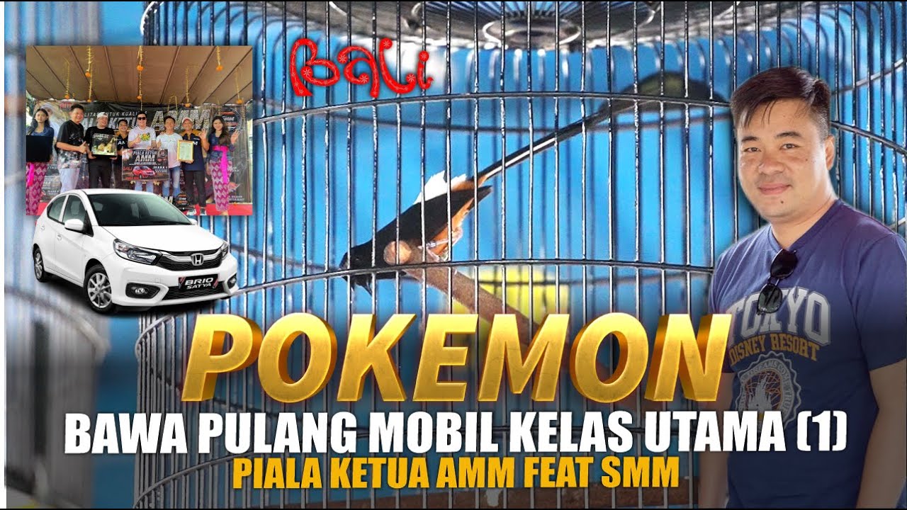 JUARA 1 KELAS UTAMA - Murai Batu POKEMON Bawa Pulang Mobil - Randy Solo