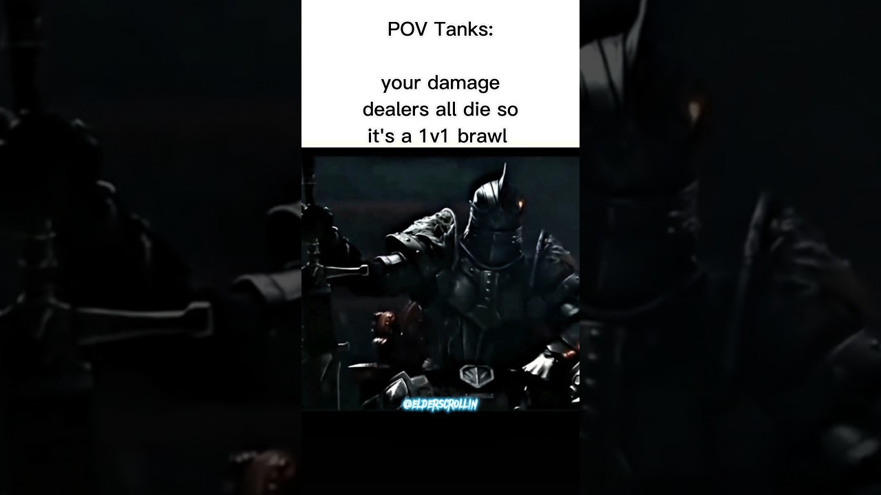 The Tank Carries the Group, prove me wrong #gaming #elderscrolls #meme #tank #knight #edit