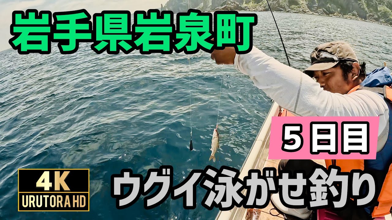 ウグイの泳がせ釣り ５日目 岩手県岩泉町 三陸沖 #119