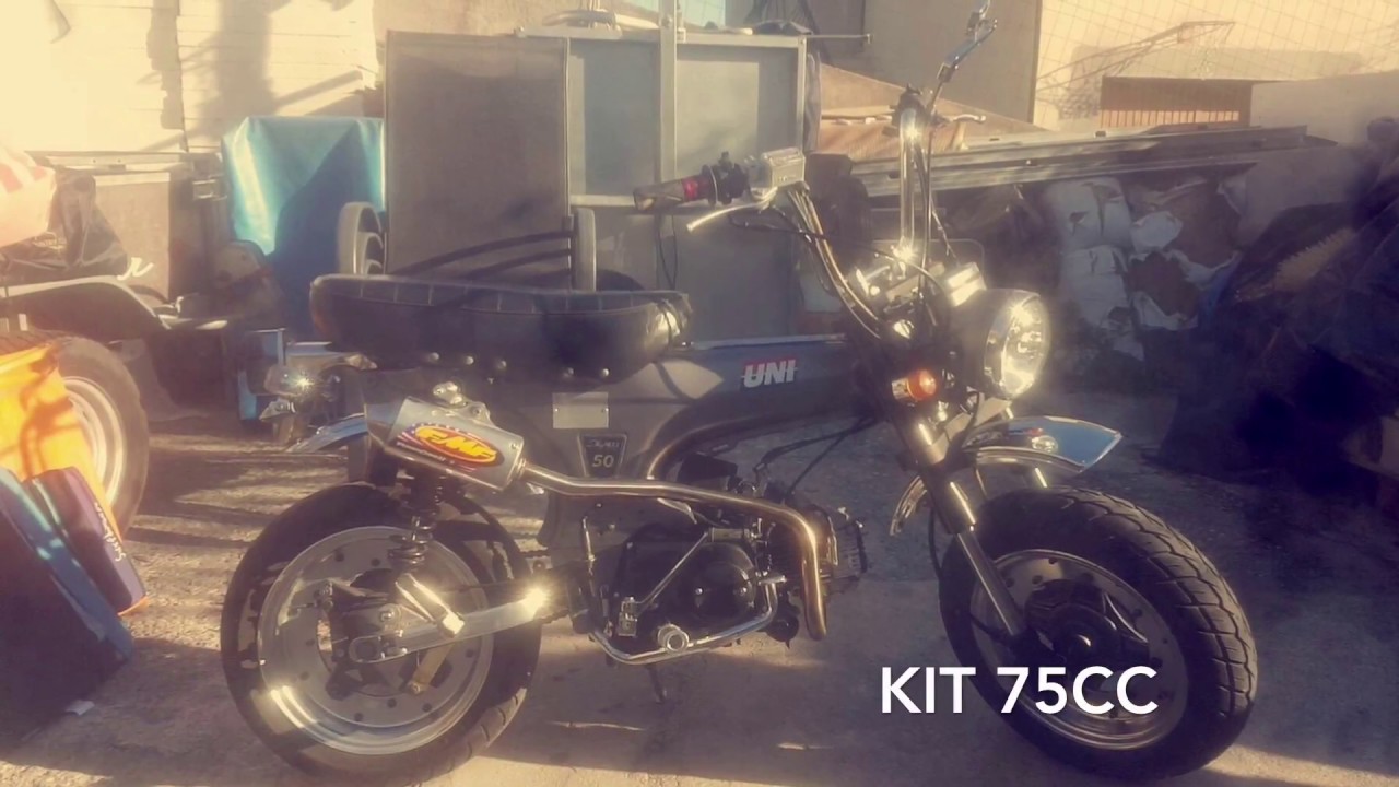 💥 Dax KIT 75cc Sound 💥