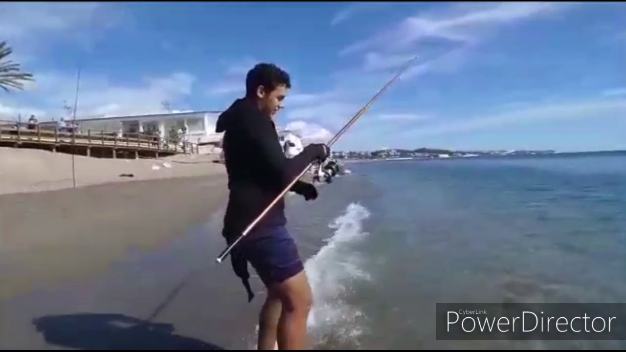 DORADA 3 KILOS