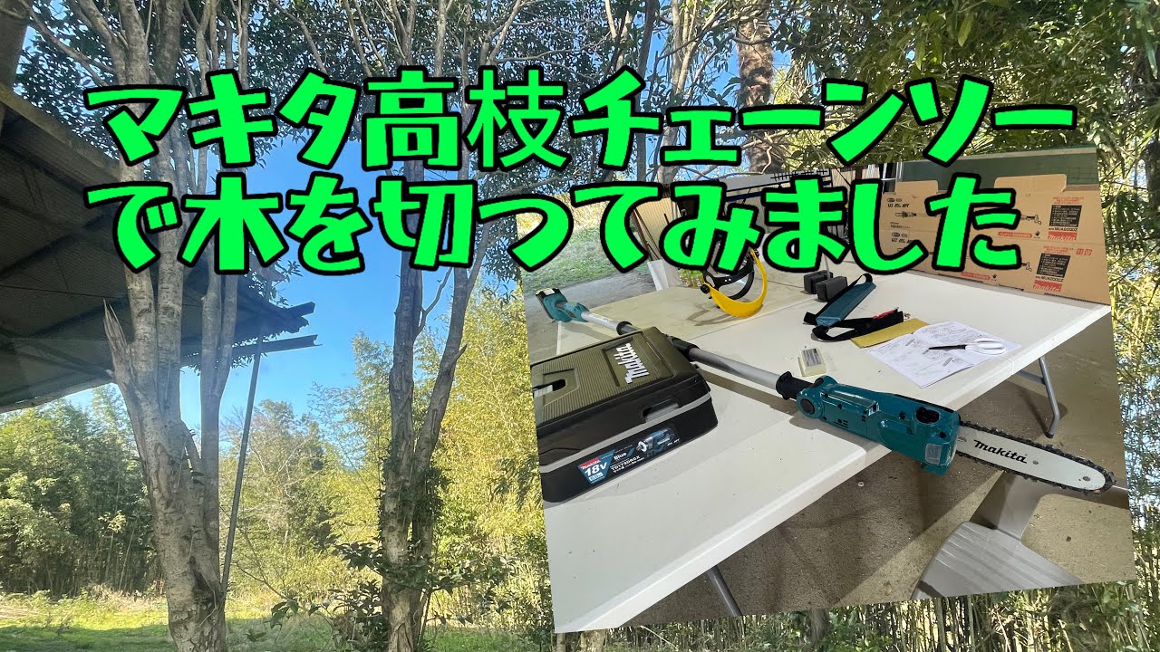 マキタ高枝チェーンソーで木を切ってみました