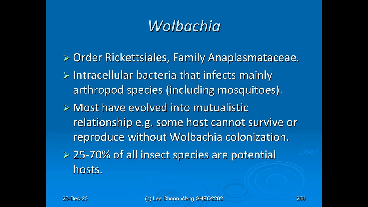 SIR2005: Brief notes on alpha Proteobacteria