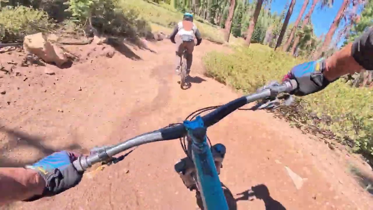Northstar 2025- Wreckless Riders - Live Wire