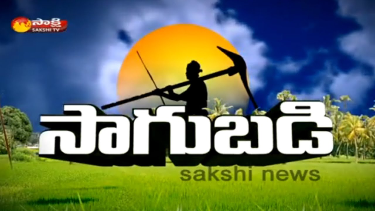 Sakshi Sagubadi - 21st June 2016