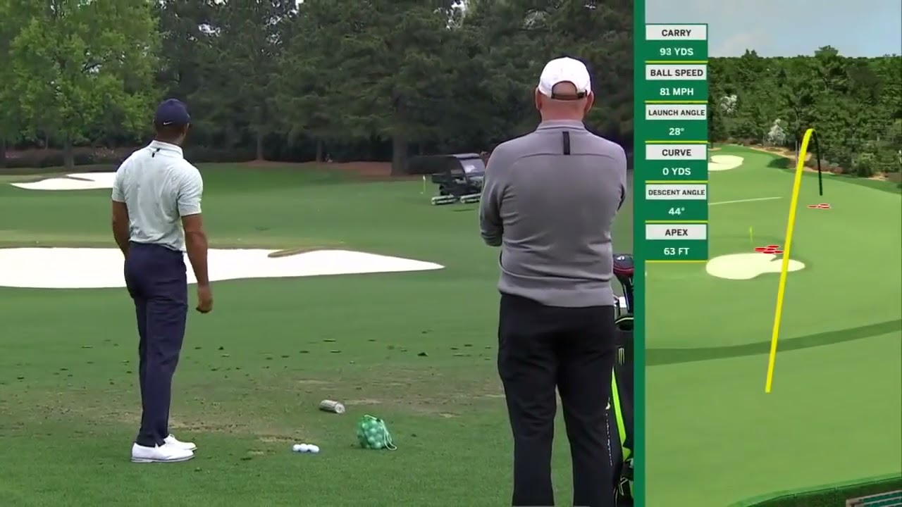 Tiger Woods Perfect Hit the Cart