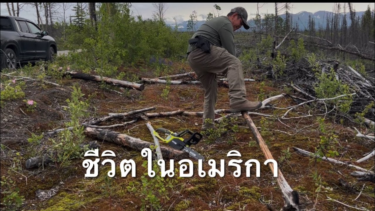 ชีวิตในอเมริกา นอนป่า หากินตามธรรมชาติ USA Living