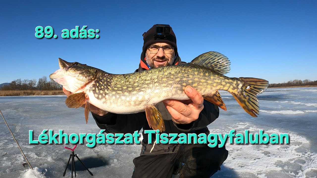 Pergetés Szalai Gáborral - 89. adás: Lékhorgászat Tiszanagyfaluban