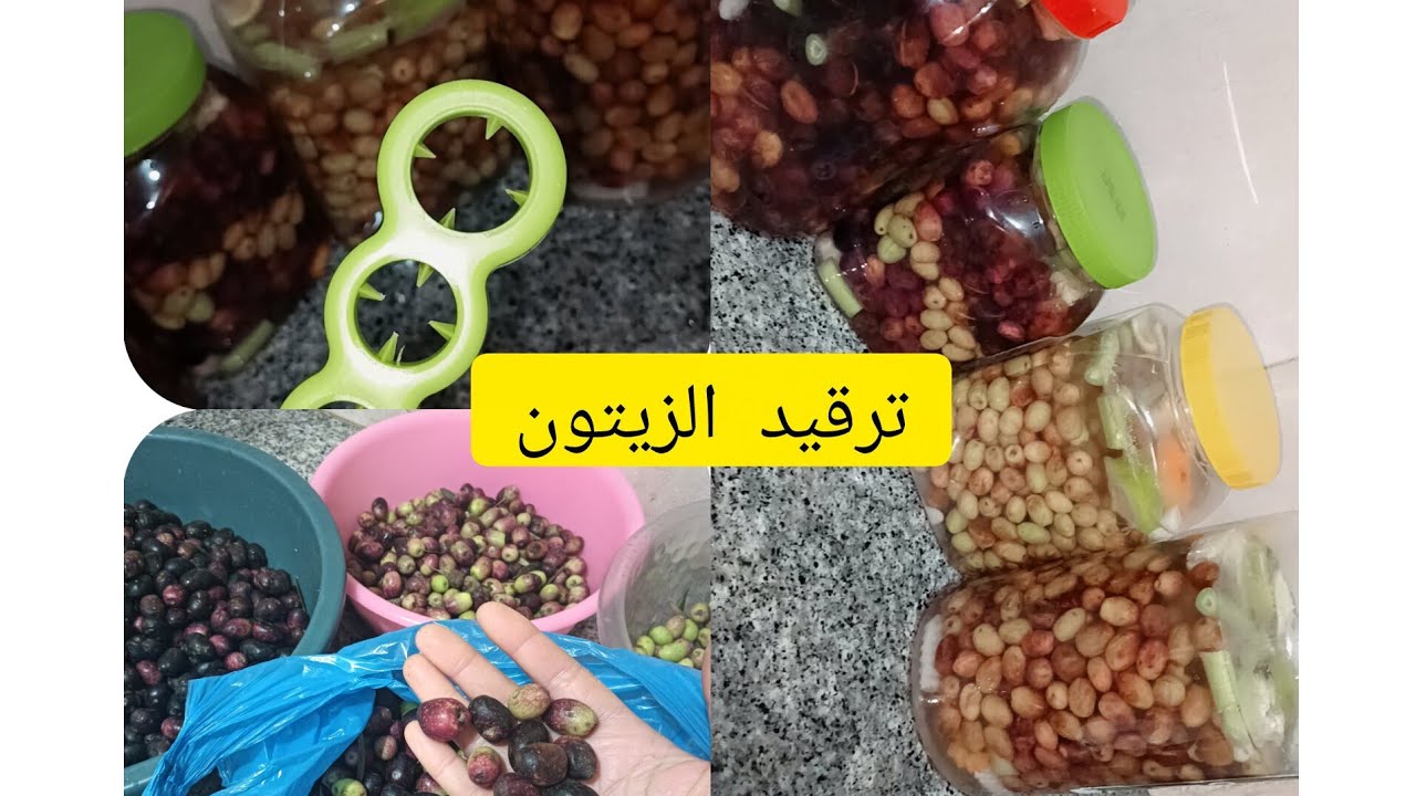 أسهل طريقة لترقيد زيتون بدون مواد حافظة 🙂طبيعي
