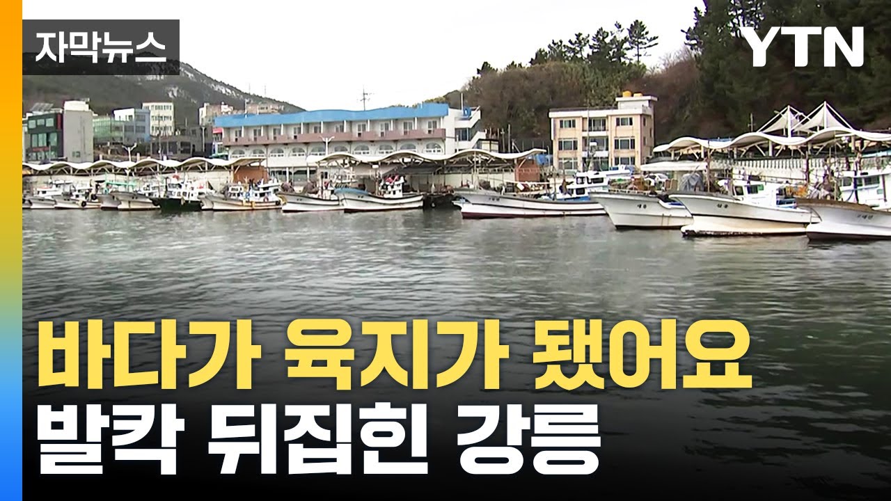 [자막뉴스] 