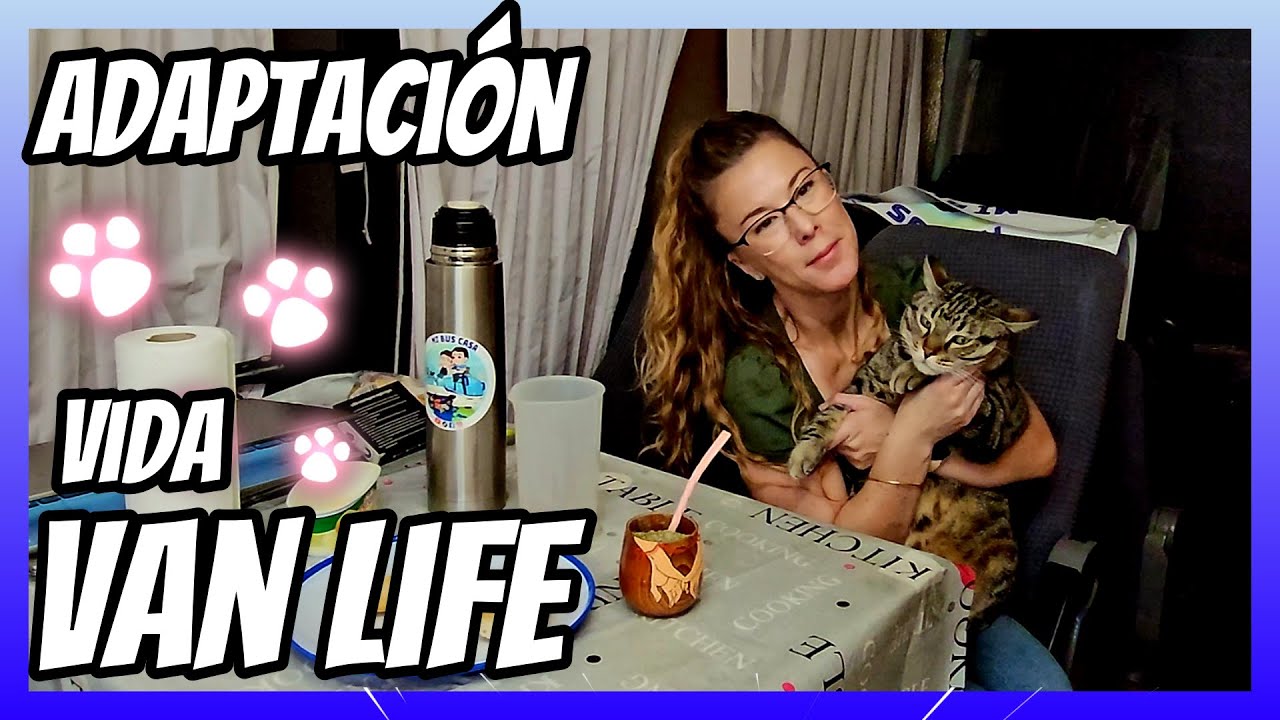 🐱Nos ADAPTAMOS a la Vida VAN LIFE