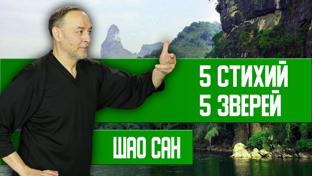 Игра 5 Зверей - оздоровление Жизни | Шао Сан