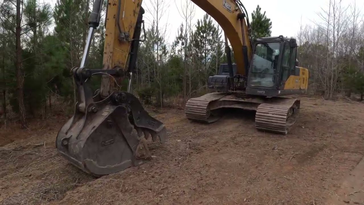 Day 3 - property clear continues!