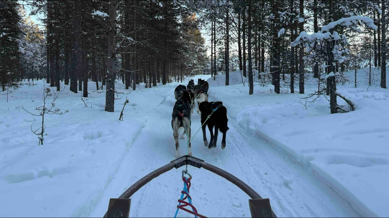 Kiruna ve Abisko’da yaptığımız İsveç Lapland’i gezimizden bazı anlar